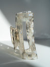 Hip Clip - Stylish hair clip